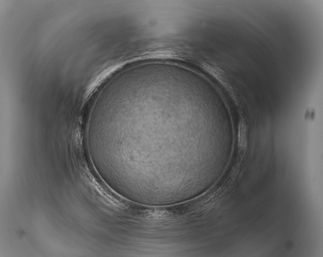 X0000112011452200908171431