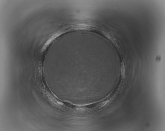 X0000112011453200908171431