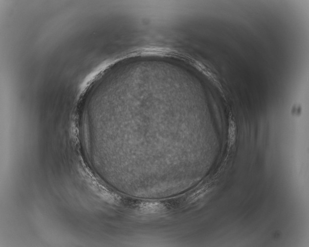 X0000112011454200908171431