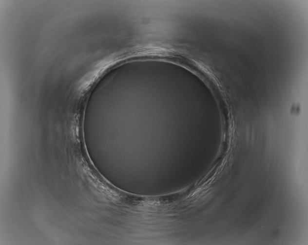 X0000112011455200908171431