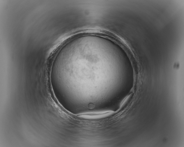 X0000112011456200908171431