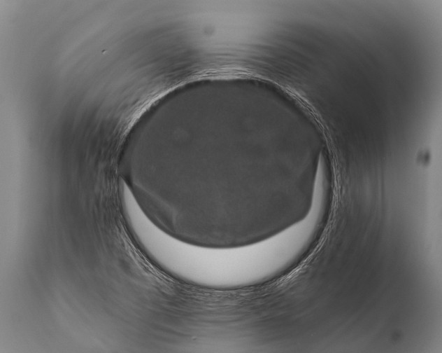 X0000112011457200908171431