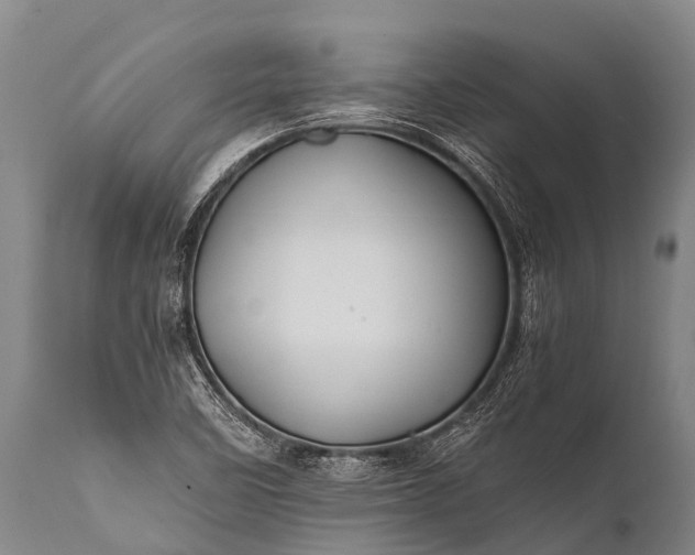 X0000112011458200908171431