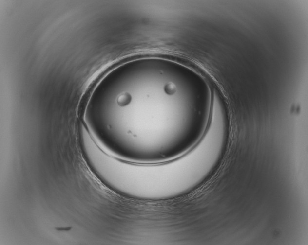 X0000112011460200908171431