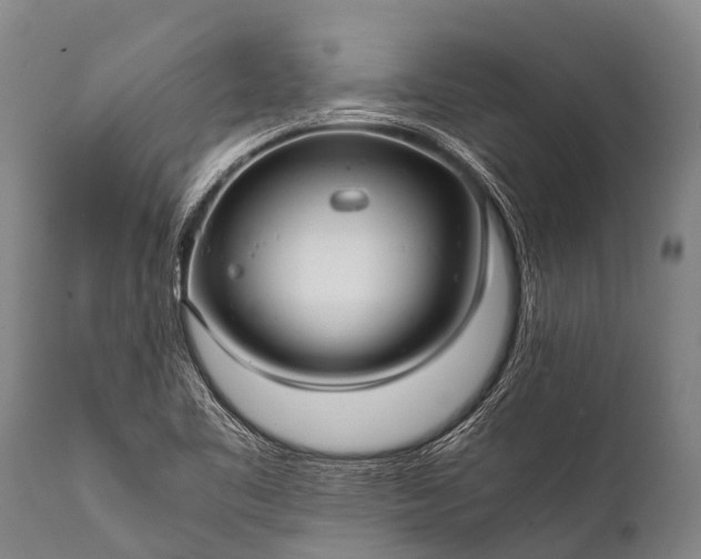 X0000112011461200908171431