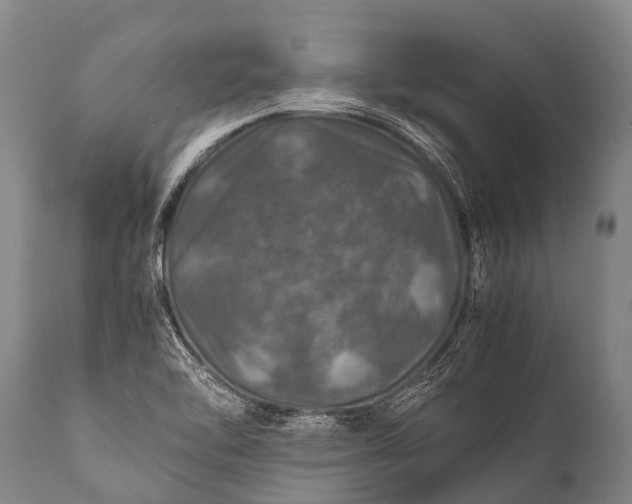 X0000112011462200908171431