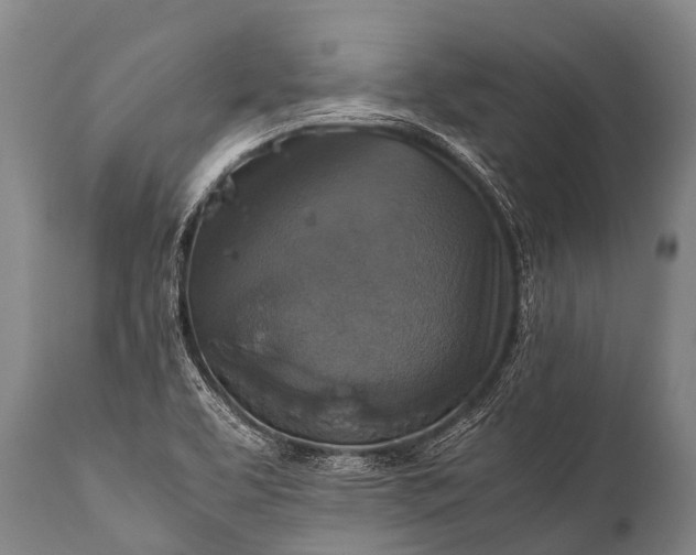 X0000112011463200908171431