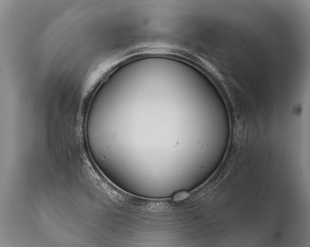 X0000112011464200908171431