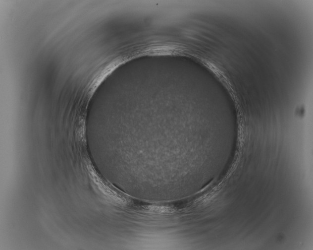 X0000112011465200908171431