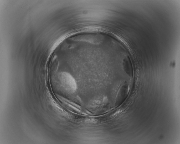 X0000112011467200908171431