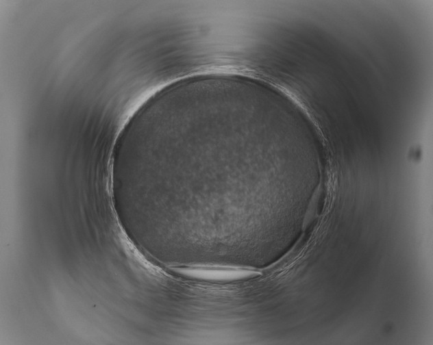 X0000112011468200908171431