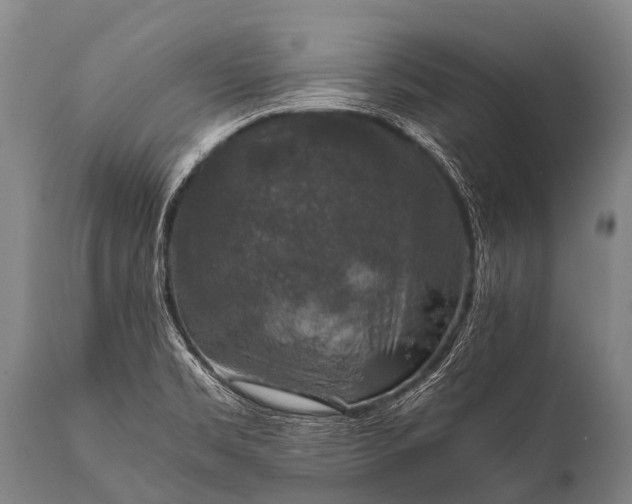 X0000112011469200908171431