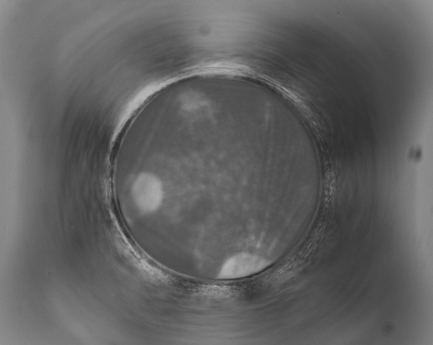 X0000112011470200908171431