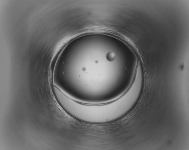 X0000112011472200908171431