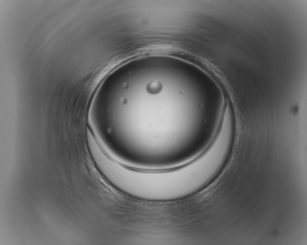 X0000112011473200908171431