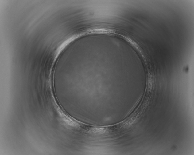 X0000112011474200908171431