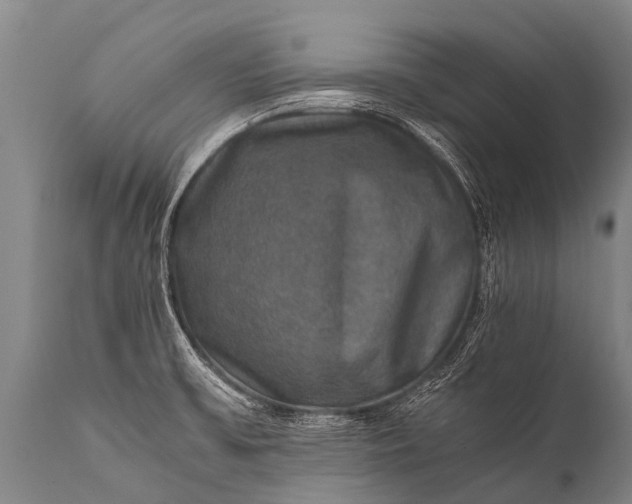 X0000112011475200908171431