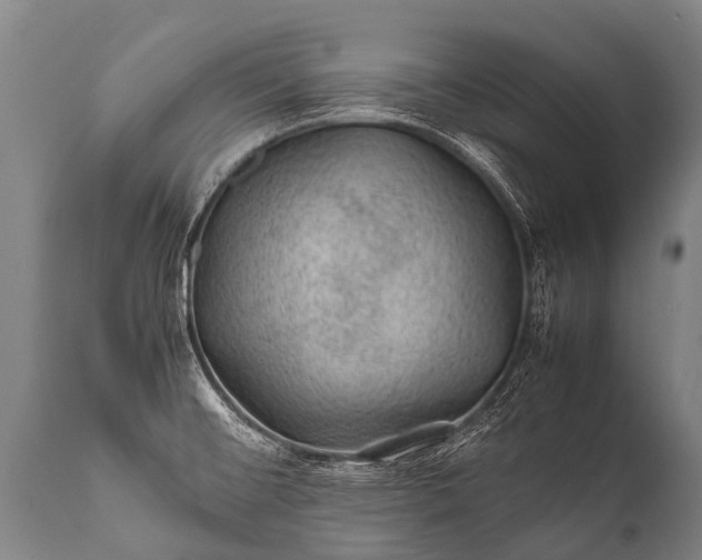 X0000112011476200908171431