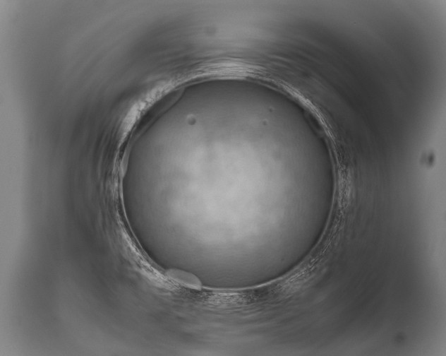 X0000112011477200908171431