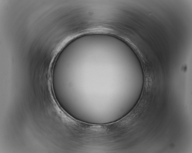 X0000112011478200908171431