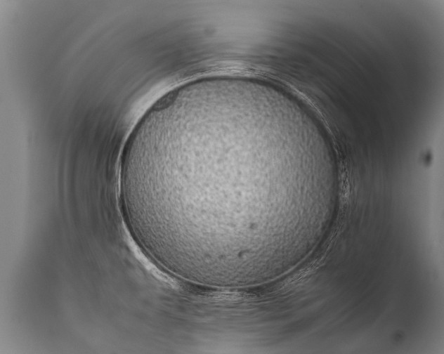 X0000112011479200908171431