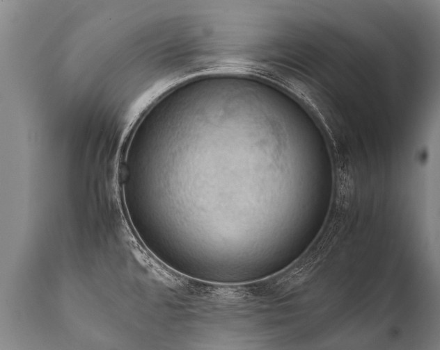 X0000112011480200908171431