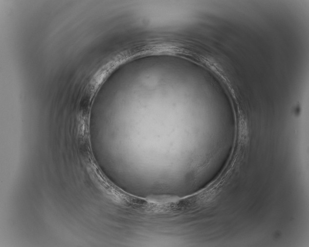 X0000112011481200908171431