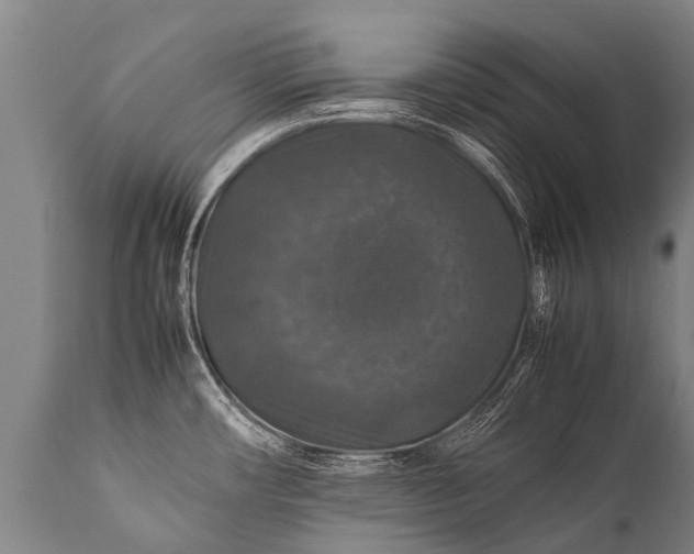 X0000112011482200908171431