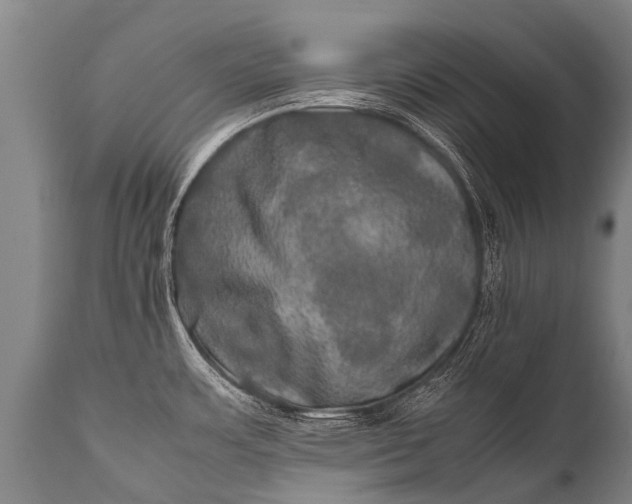 X0000112011483200908171431