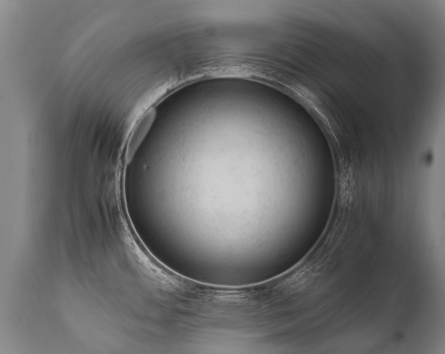 X0000112011484200908171431