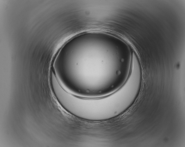 X0000112011485200908171431