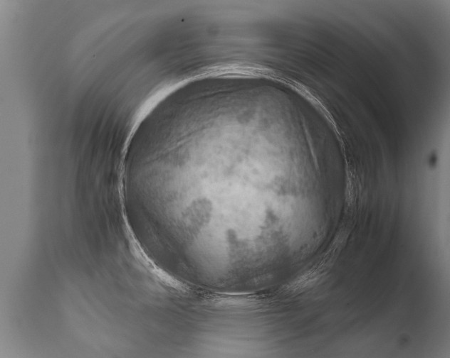 X0000112011486200908171431