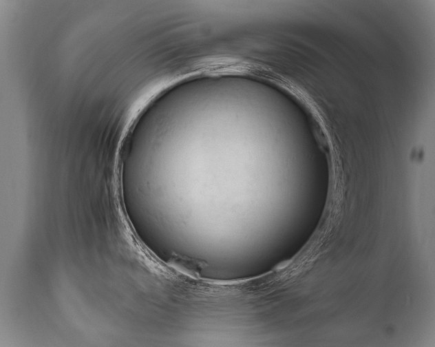 X0000112011488200908171431