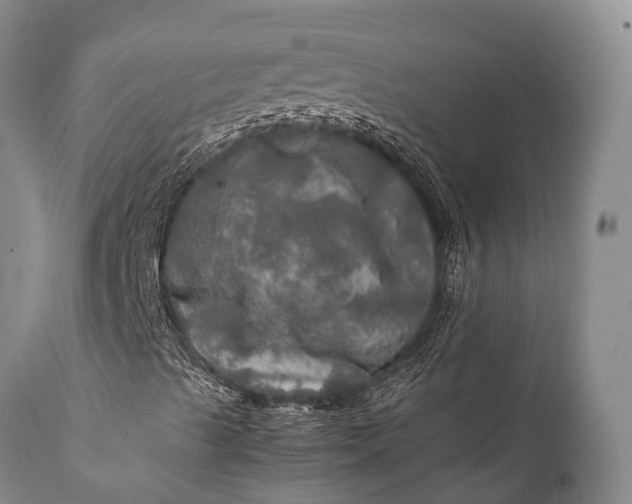 X0000112011489200908171430