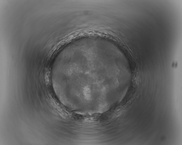 X0000112011490200908171430