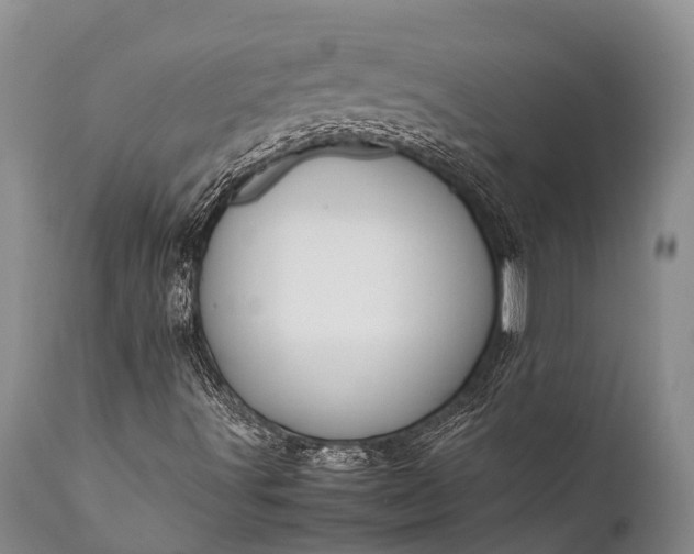 X0000112011491200908171430