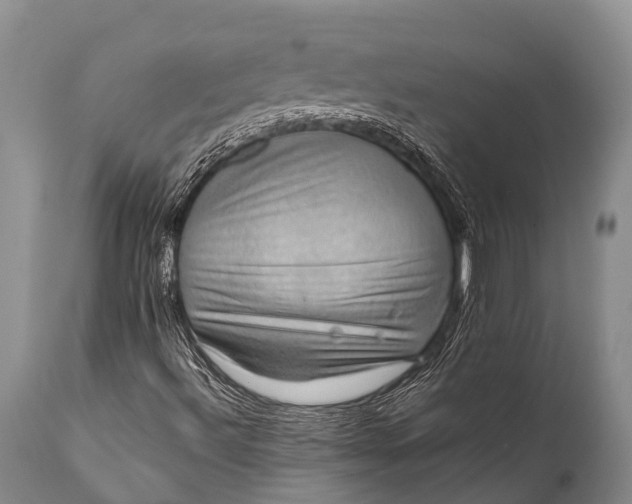 X0000112011492200908171430