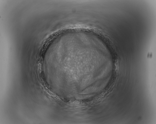 X0000112011493200908171430