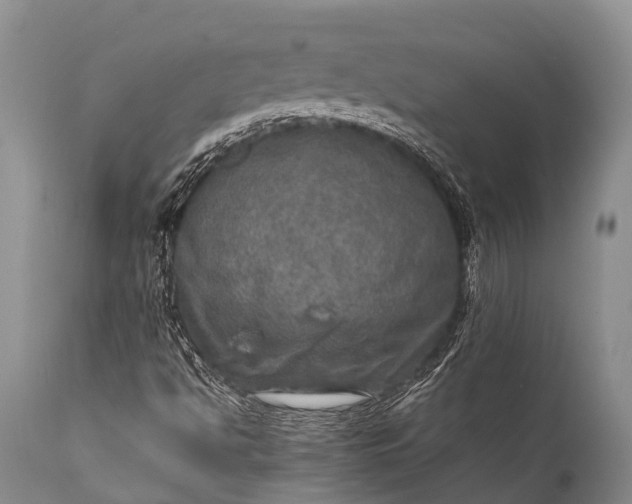 X0000112011494200908171430