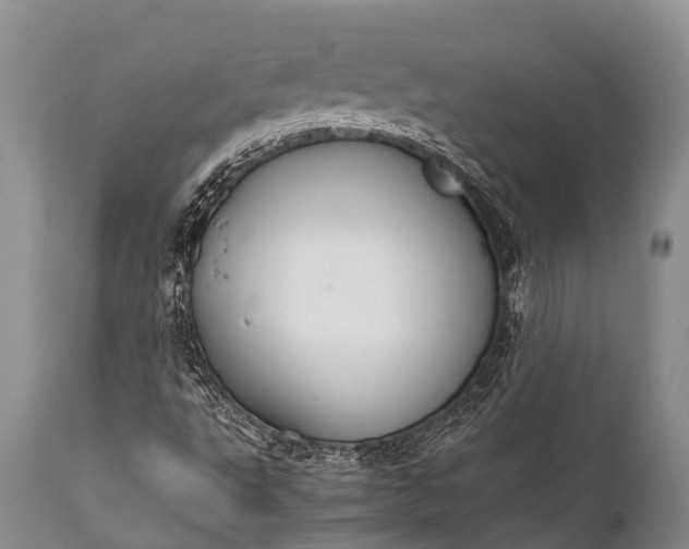 X0000112011495200908171430