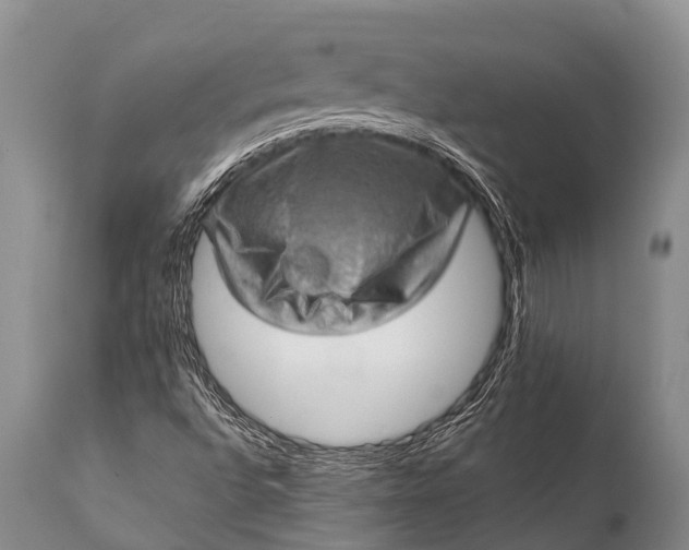 X0000112011496200908171430