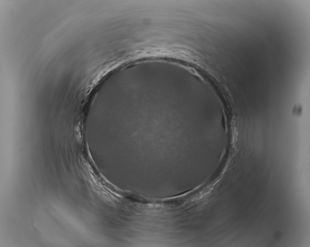 X0000112011497200908171430