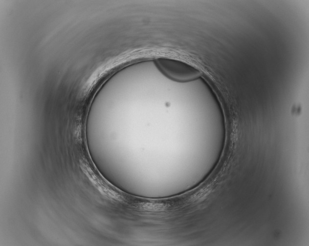 X0000112011499200908171430