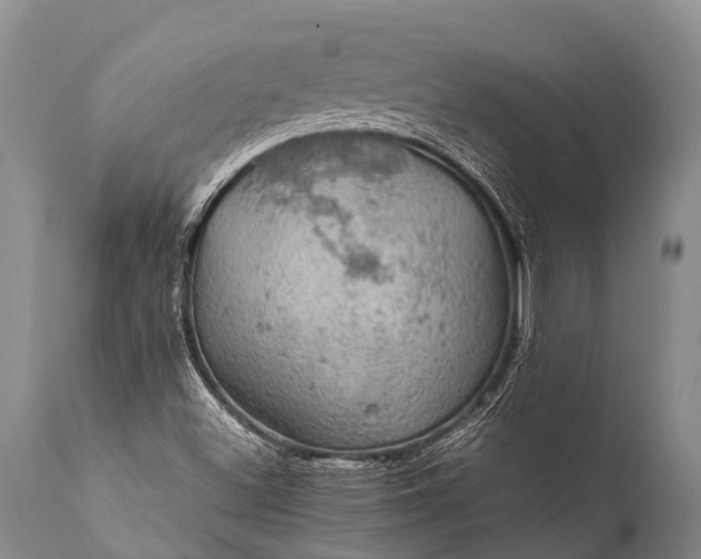 X0000112011500200908171430