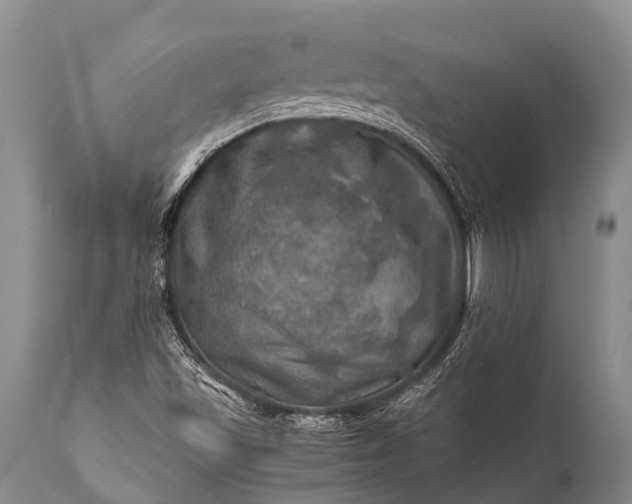 X0000112011501200908171430