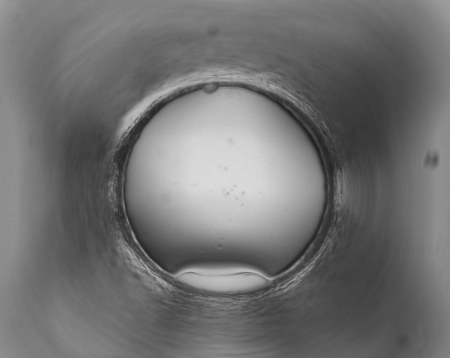 X0000112011502200908171430