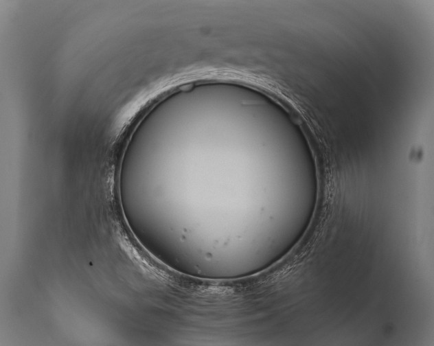 X0000112011503200908171430