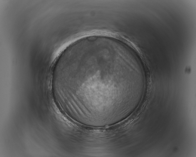 X0000112011504200908171430