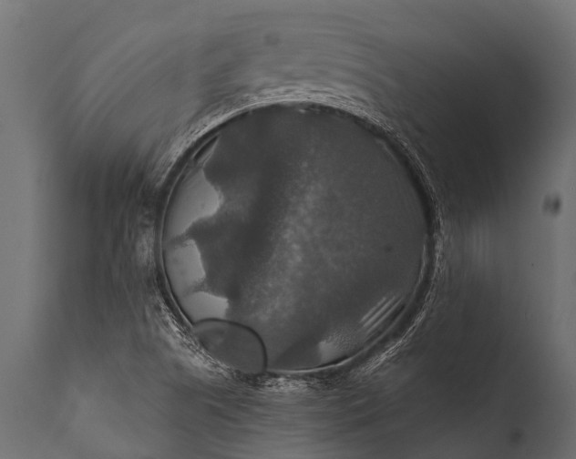 X0000112011505200908171430