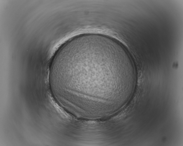 X0000112011507200908171430